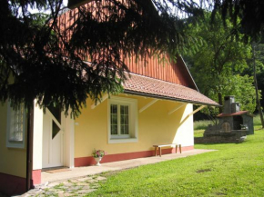 Apartment Vintgar Slovenska Bistrica